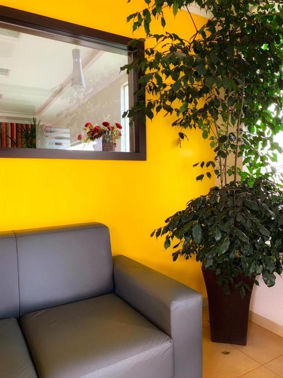  Hotel Nippon Rolim de Moura