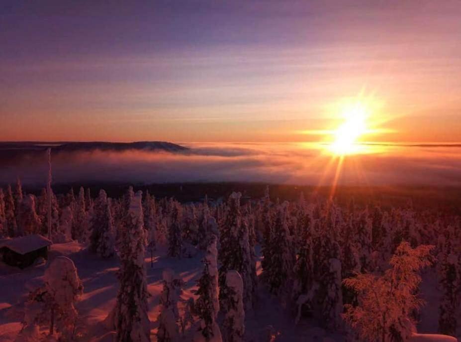 a sunset over a snowy forest with the sun in the sky at Arcticson / pohjosen poika in Syöte