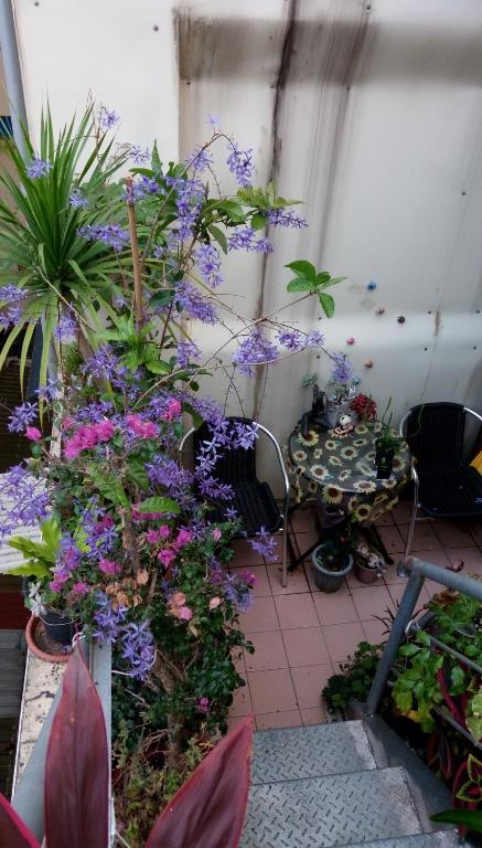 Zimmer mit lila Blumen, einem Tisch und Stühlen in der Unterkunft Pulisen Homestay in Puli