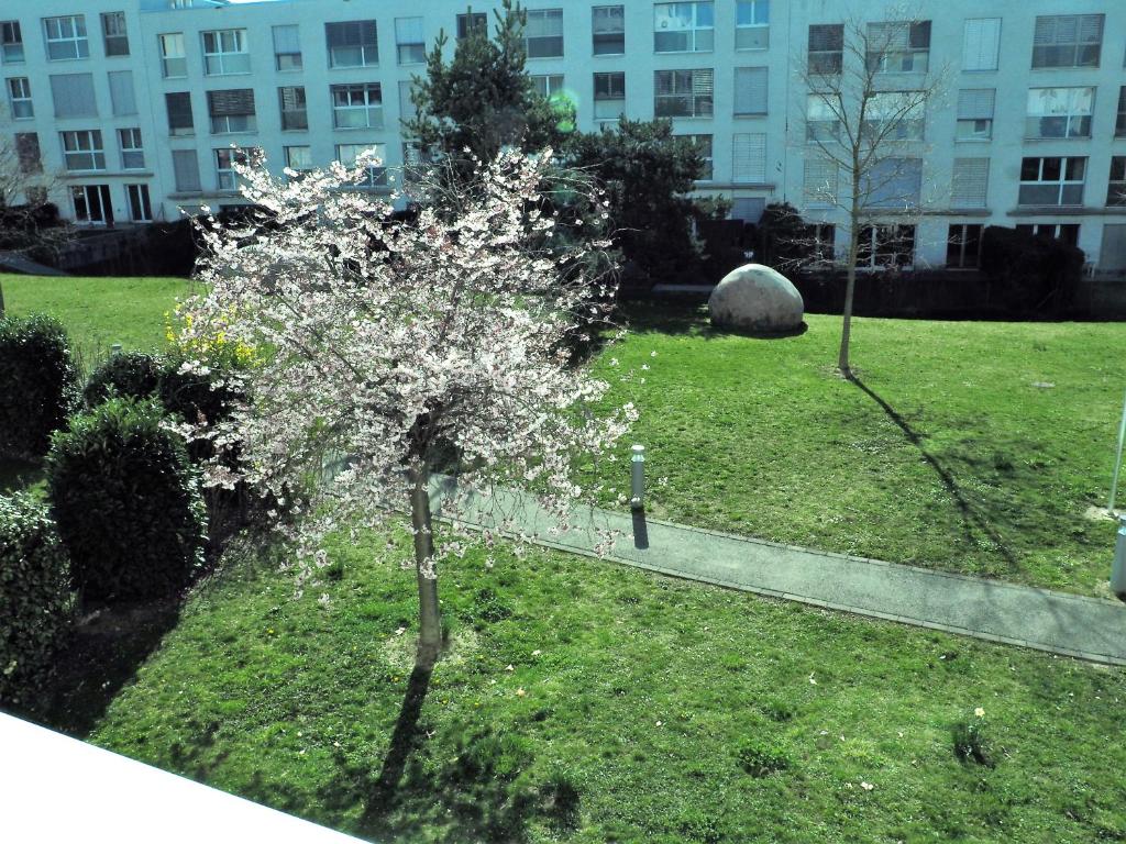Zahrada ubytování ibis Genève Petit Lancy