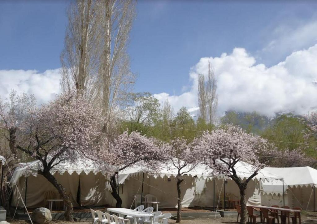 a tent with trees and tables and chairs at Royal Deluxe Camp & Resort, Hunder- Nubra in Nubra