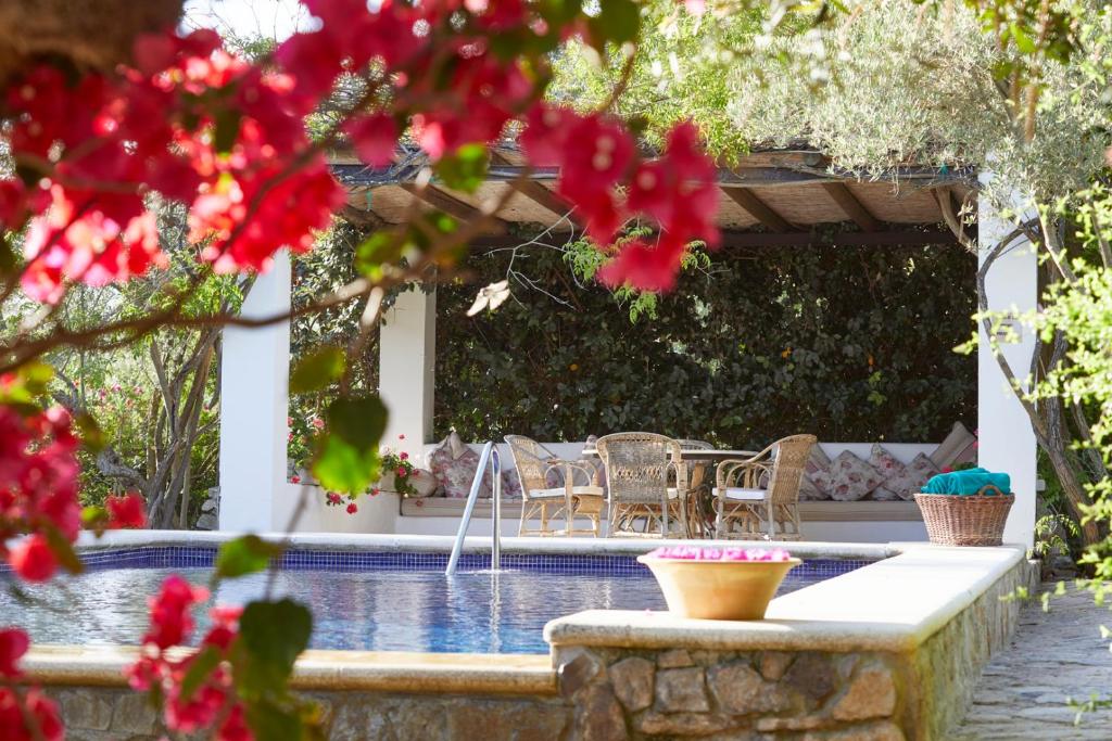 un patio con sillas y una piscina con flores rojas en Hacienda de San Rafael, en Las Cabezas de San Juan