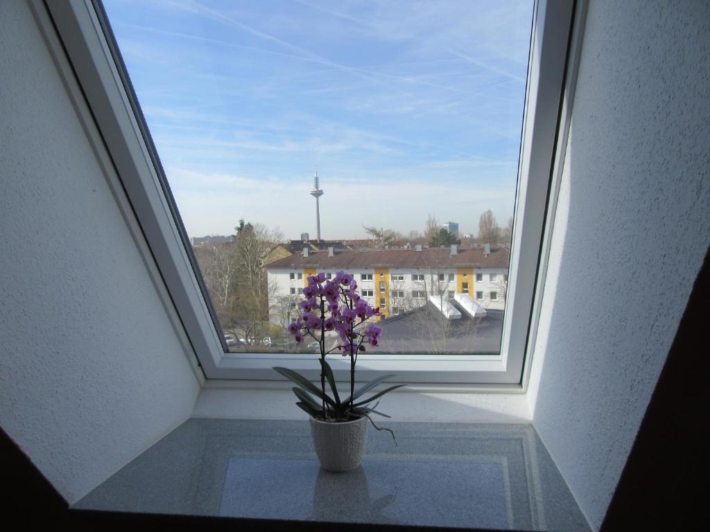 Haus Aja Textor-Goethe - Resim 10