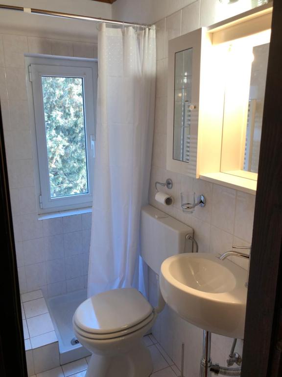 un bagno con un water, un lavandino e una finestra di Apartment Boreas a Strunjan