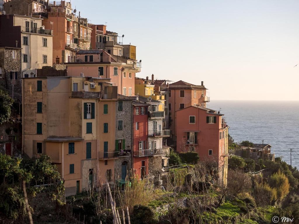 a group of buildings on a hill next to the ocean at Affittacamere Le Terrazze in Corniglia