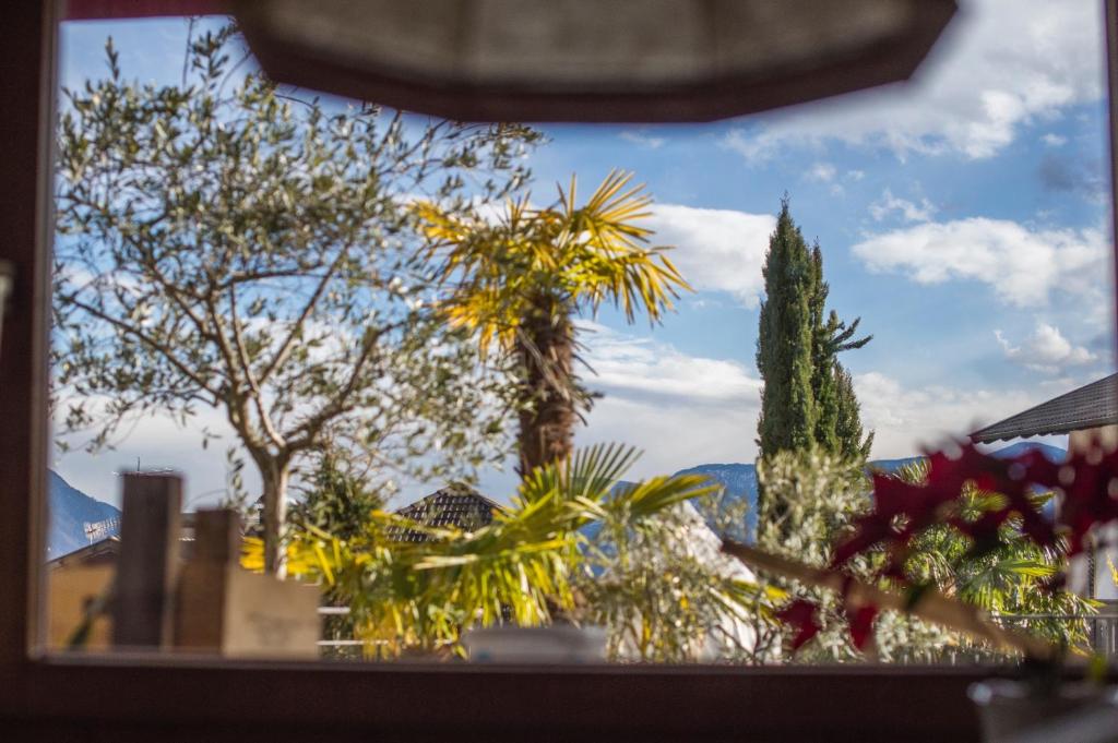 Nespecifikovaný výhled na hory nebo výhled na hory při pohledu z bed and breakfast