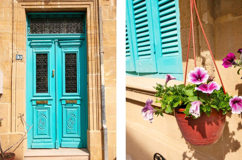 Fotografie z fotogalerie ubytování Bougainvillea Garden v destinaci Lefkosa Turk