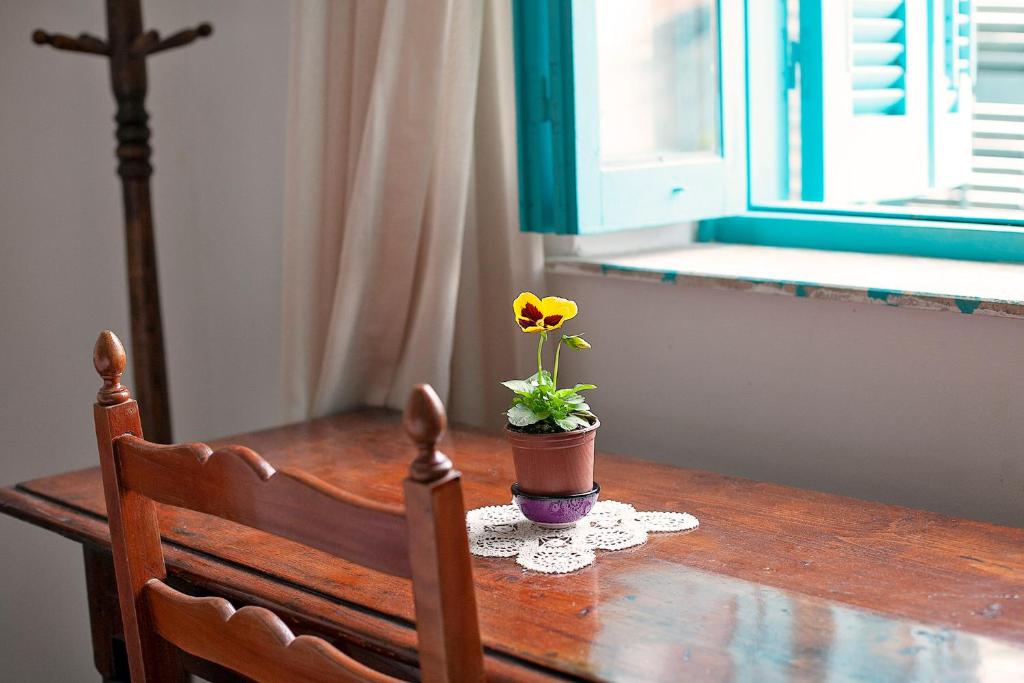 Fotografie z fotogalerie ubytování Bougainvillea Garden v destinaci Lefkosa Turk