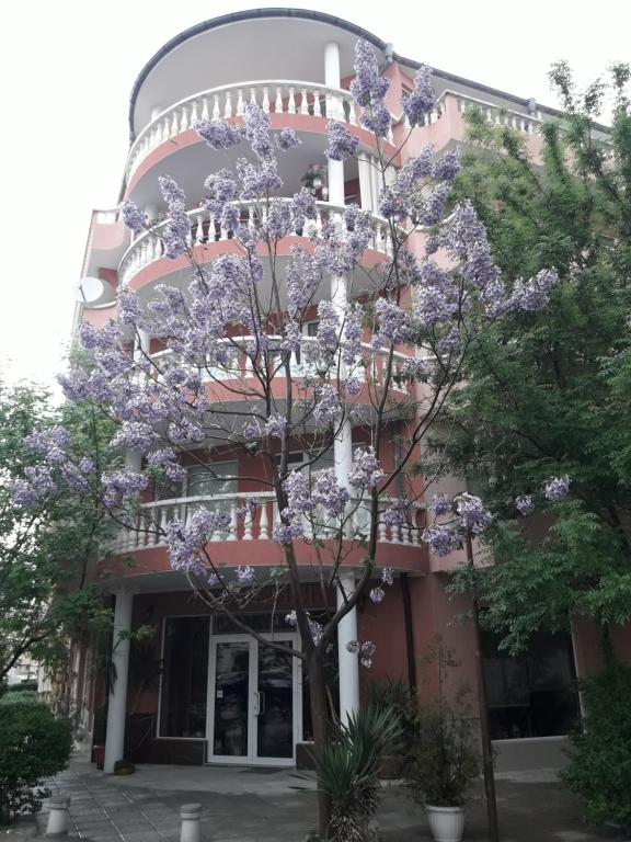 Zahrada ubytování Art Guest House Orchidea