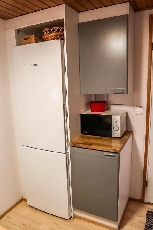 Kuchyň nebo kuchyňský kout v ubytování Apartment Rentun Maja