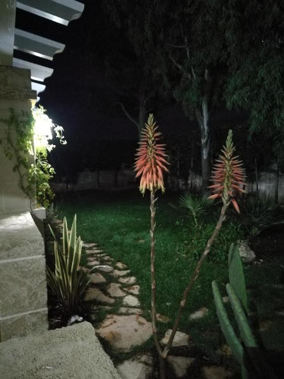 Zahrada ubytování Beach House Salento