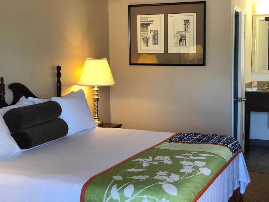 um quarto com uma cama e uma fotografia na parede em Astro Best Inn em Houston