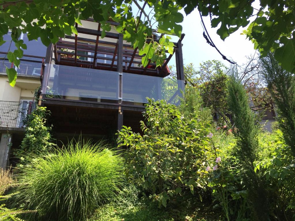 Zahrada ubytování PERGOLA HOUSE IN A GREEN OASIS WITH FANTASTIC VIEW