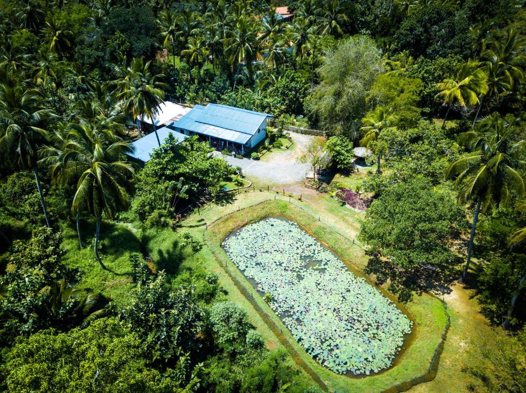 an overhead view of a garden with a swimming pool at Avian Garden Udawalawe in Udawalawe