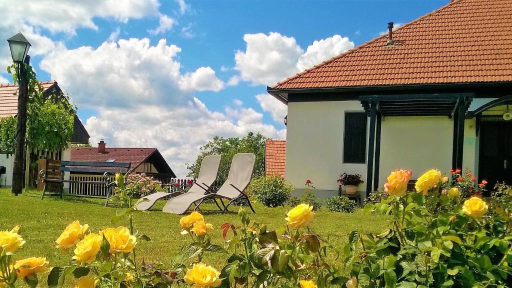 Zahrada ubytování POČITNIŠKA HIŠA KOG