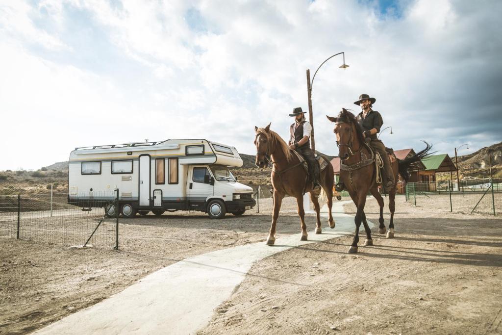 Animales en el camping o alrededores