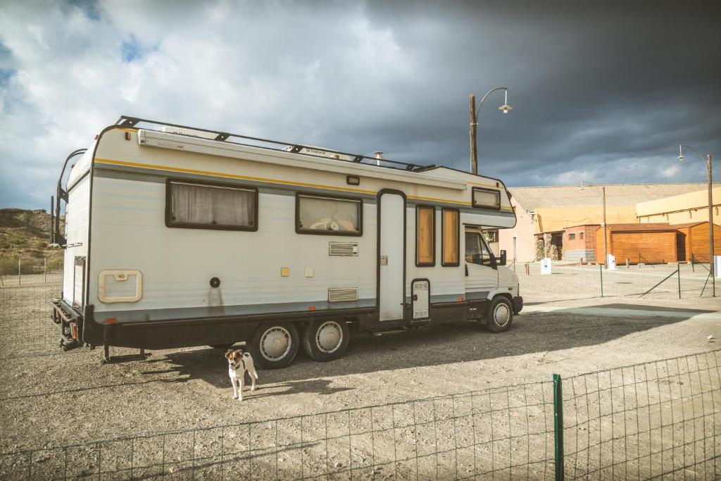 Imagen de la galería de Camping Fort Bravo, en Tabernas