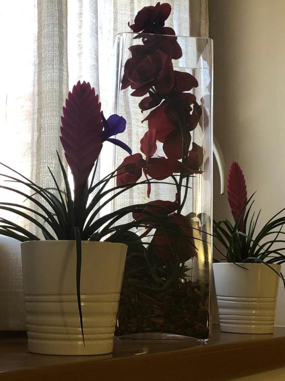 Foto sihtkohas Cles asuva majutusasutuse DAD HOME galeriist