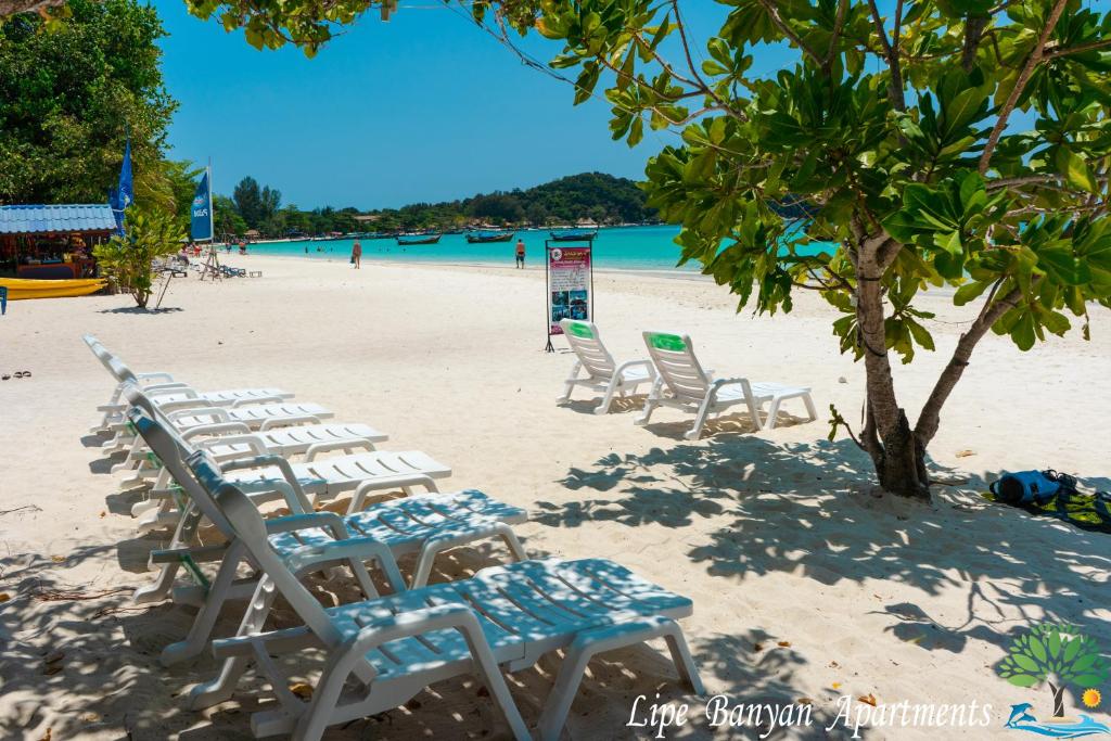 Lipe Banyan Apartments Room