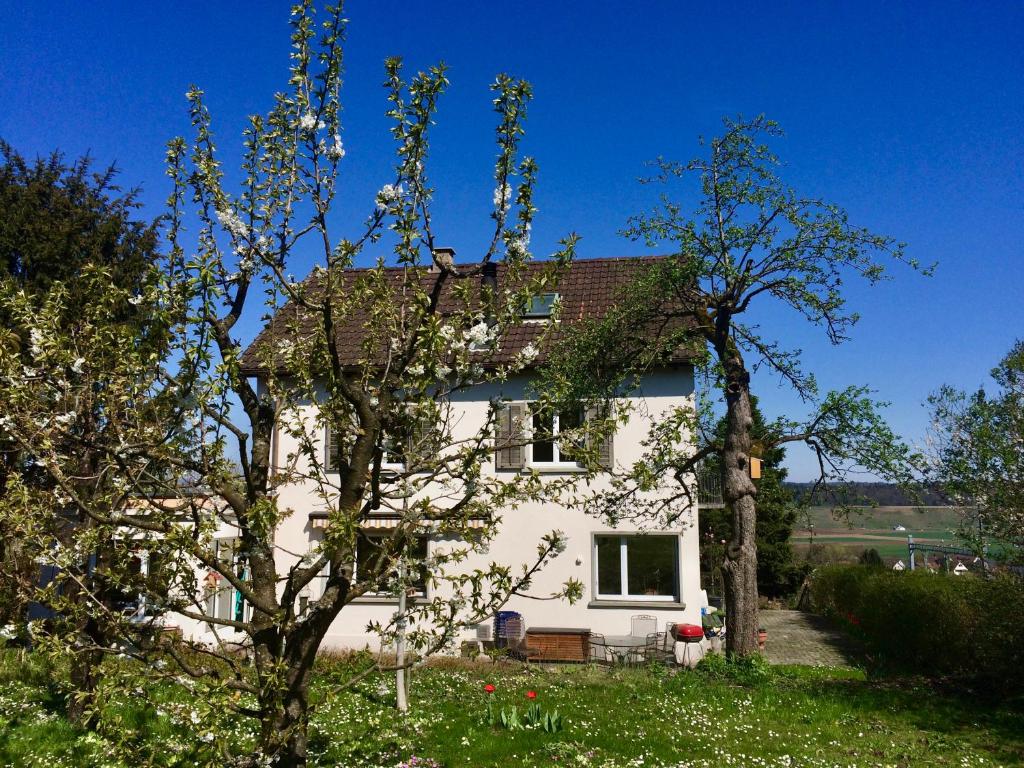 Zahrada ubytování Guntli’s family Guesthouse