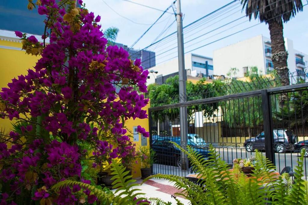 Zahrada ubytování Residencial Miraflores B&B