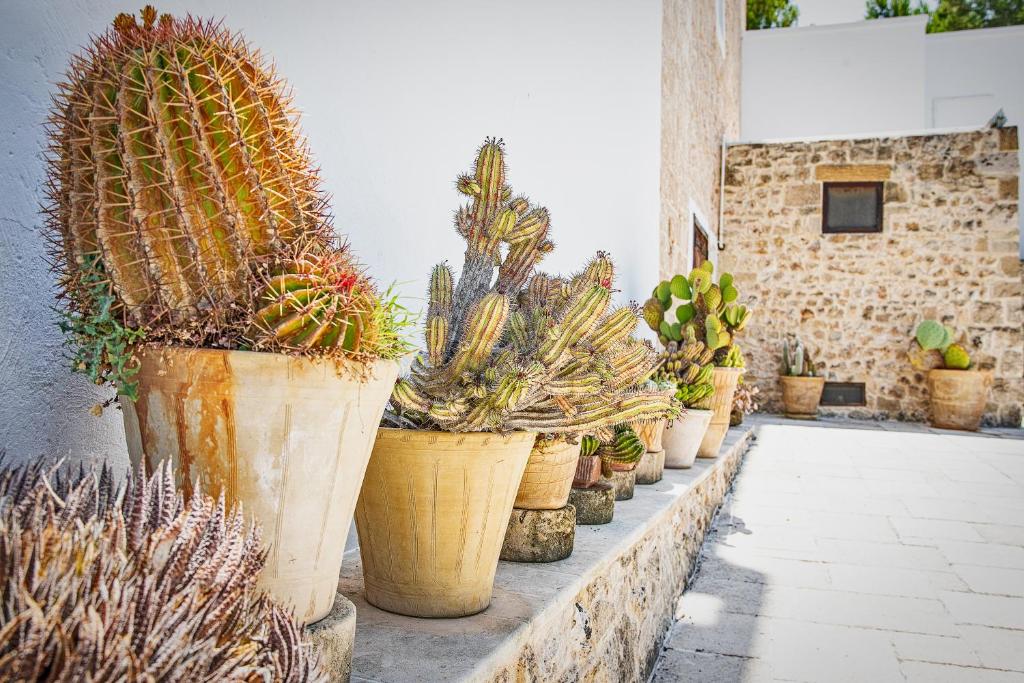 Fotografie z fotogalerie ubytování torre casciani v destinaci Ugento