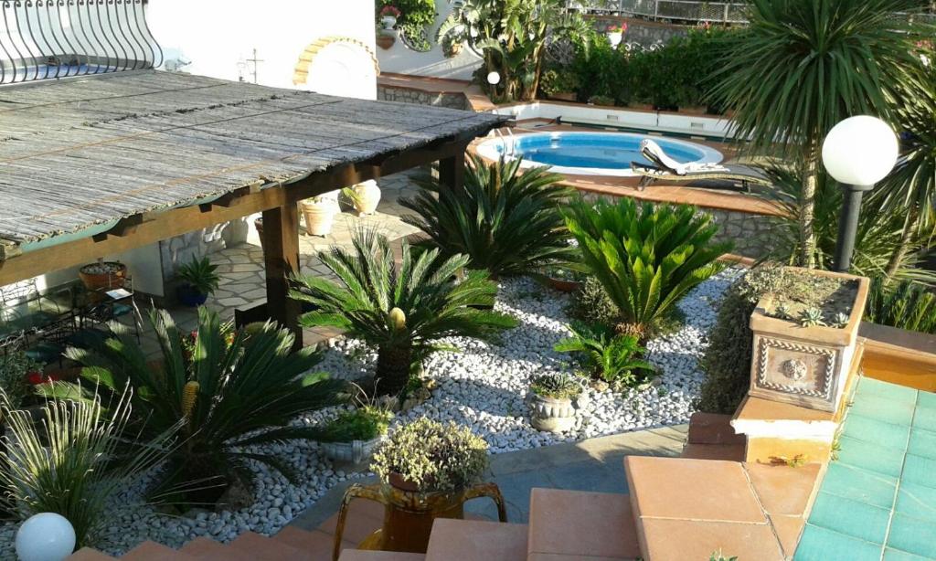 un patio trasero con una piscina y un montón de plantas en La Cicas, en Anacapri