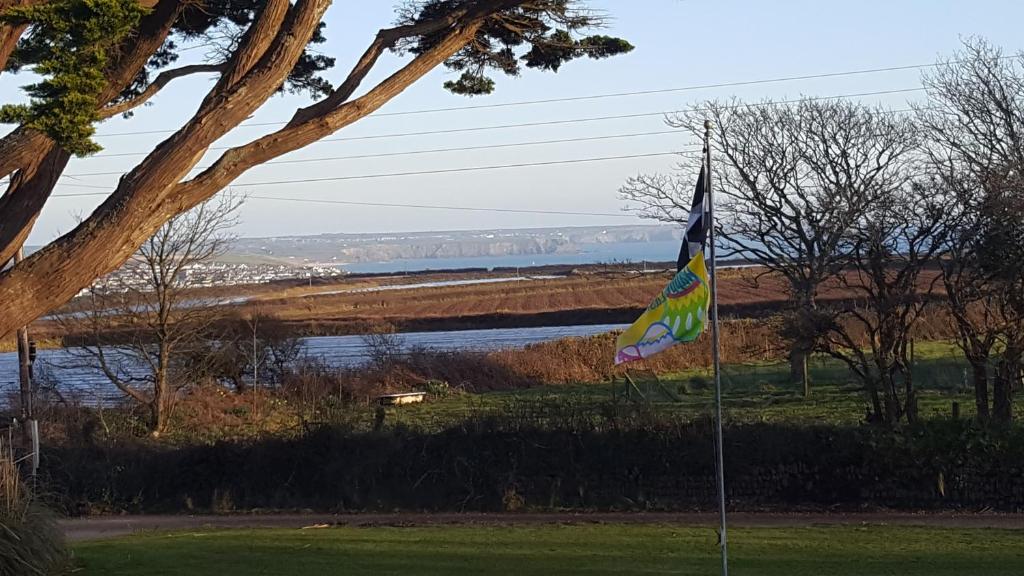 a flag in the grass next to a lake at Elysian Fields B&B in Helston