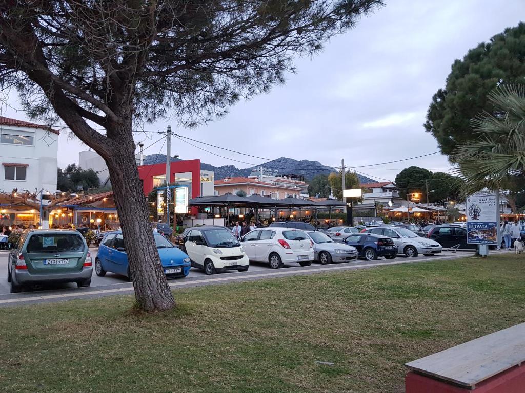 Fotografie z fotogalerie ubytování COZZY STUDIO IN NEA MAKRI v destinaci Nea Makri