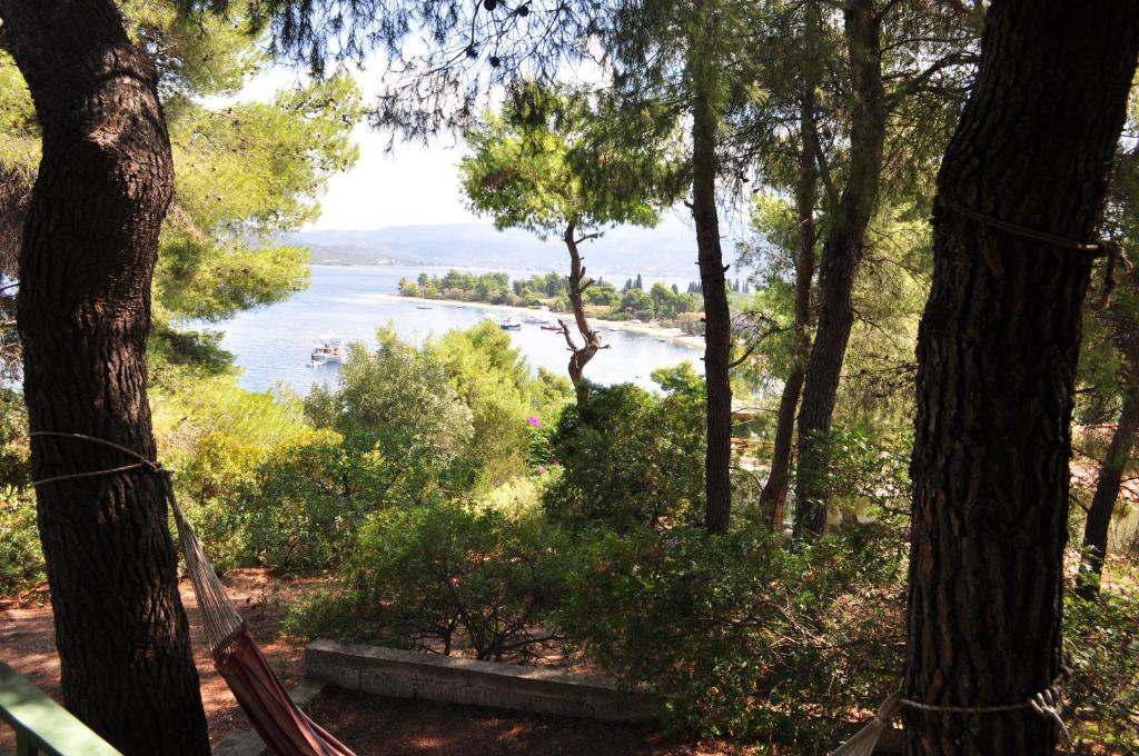 una vista del río desde dos árboles en 139 steps from the sea, en Gialtra