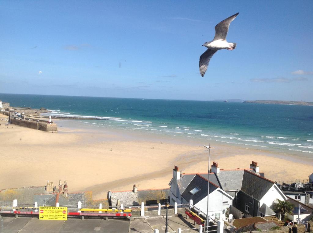 a bird flying over a beach with the ocean at Golden Hind in St Ives