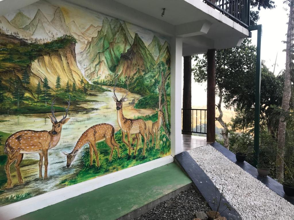 Fotografie z fotogalerie ubytování Hill Forest Cottage v destinaci Ella
