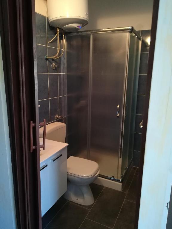 a bathroom with a toilet and a shower at Guesthouse Porec in Poreč