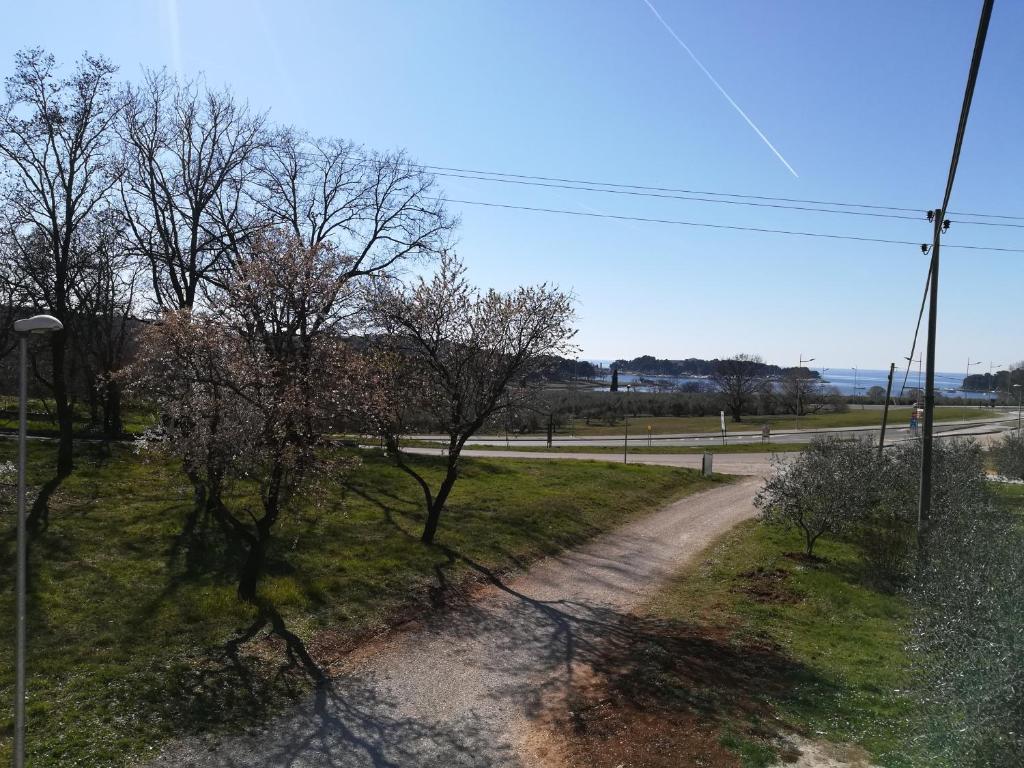 a dirt road with trees on the side of a road at Guesthouse Porec in Poreč