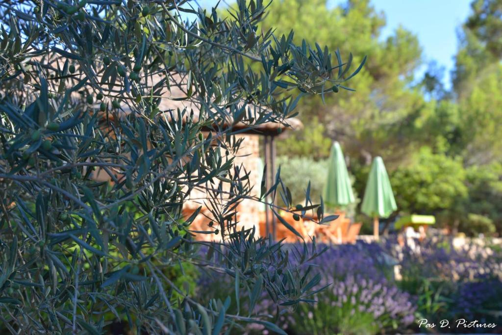 Zahrada ubytování Le Jas de Joucas Hôtel-Restaurant
