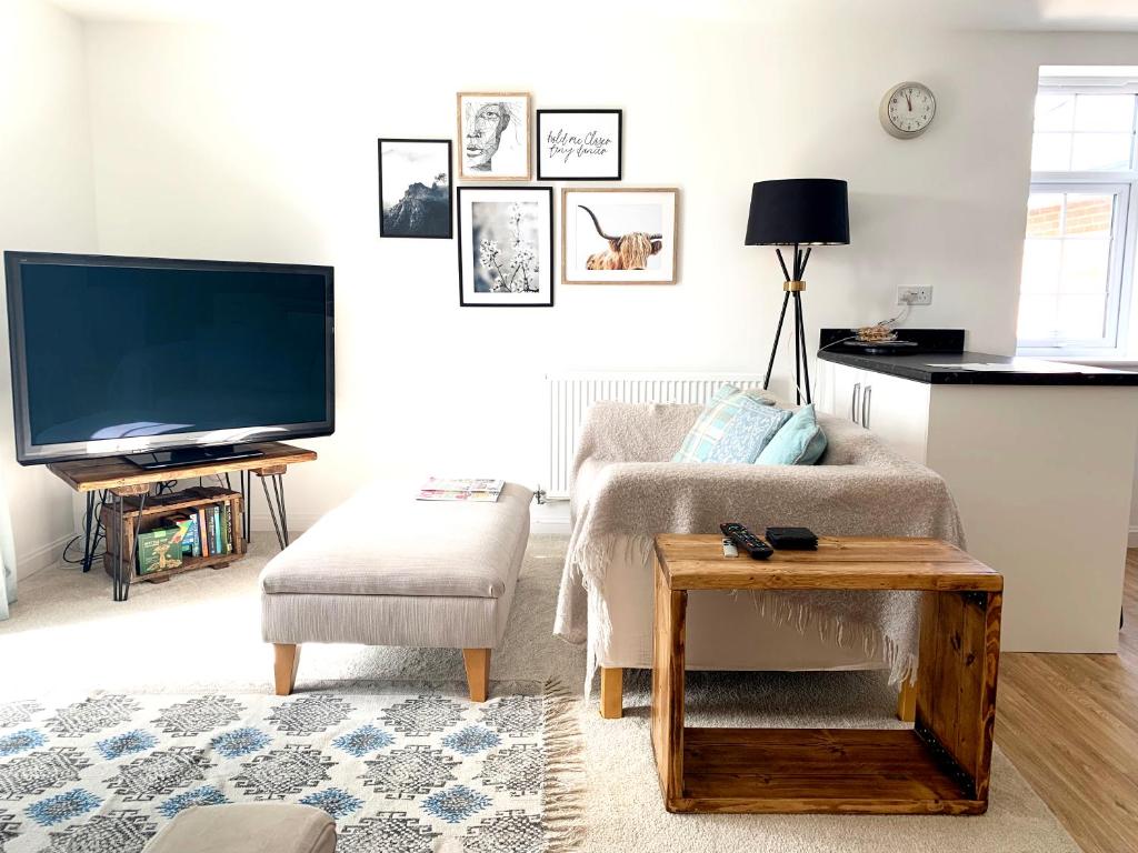 TV a/nebo společenská místnost v ubytování Home Crowd Luxury Apartments