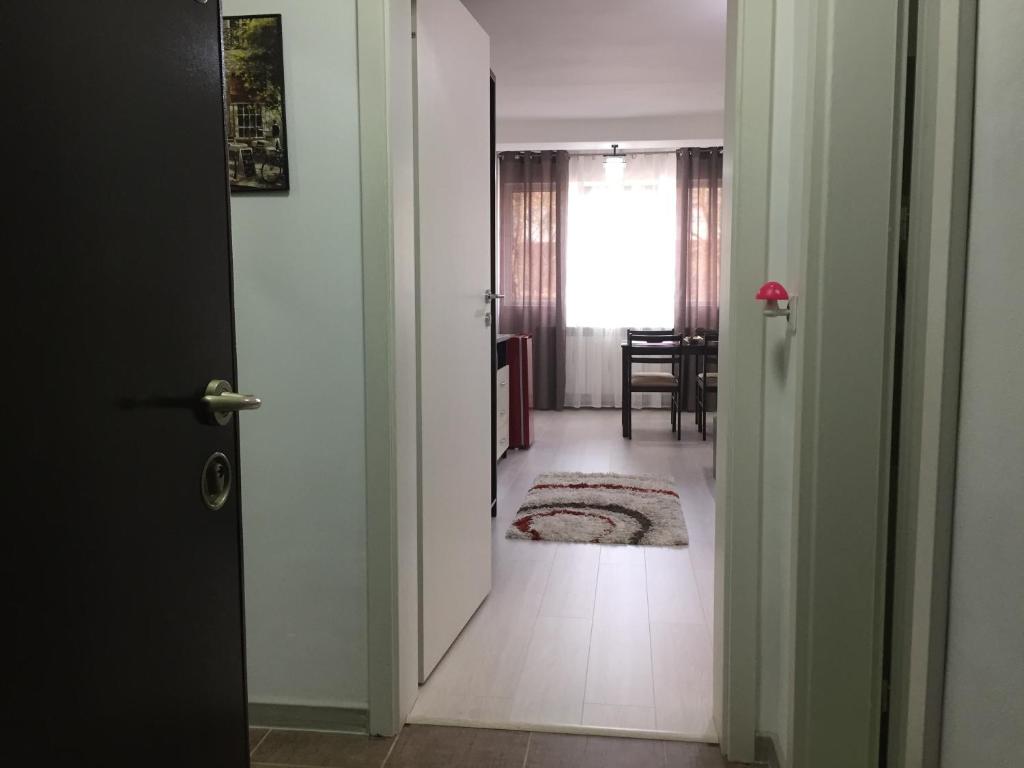 Faleza Apartment - One-Bedroom Apartment