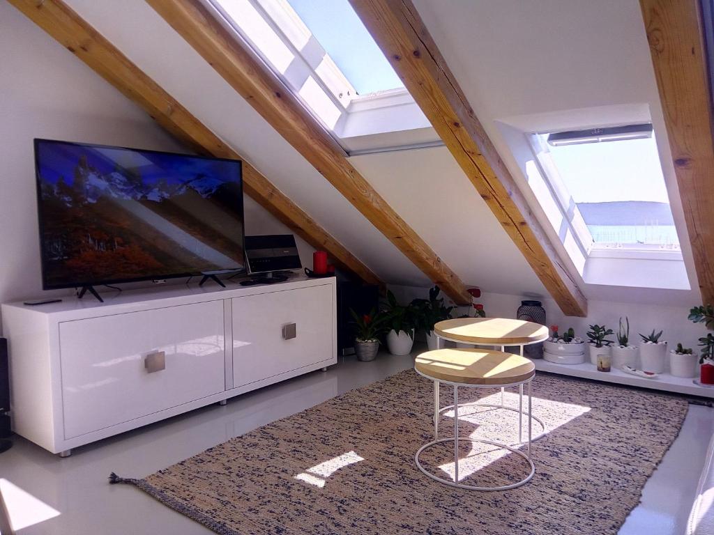 Televízia a/alebo spoločenská miestnosť v ubytovaní Kike Apartment
