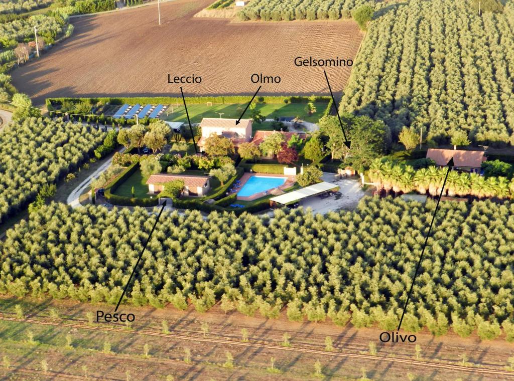 Bazén v ubytovaní Podere Campi al Mare alebo v jeho blízkosti