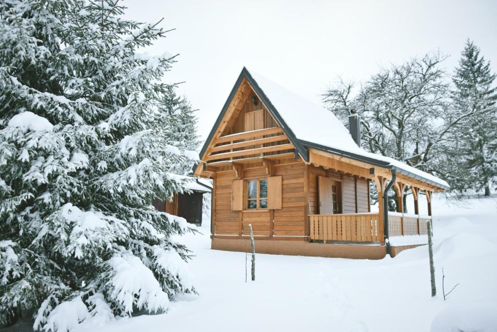 eine Blockhütte im Schnee mit einem Weihnachtsbaum in der Unterkunft Vikendica Ristić in Šljivovica