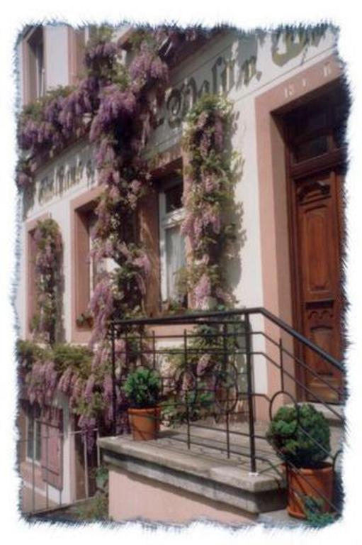 Zahrada ubytování Gasthaus Neupert