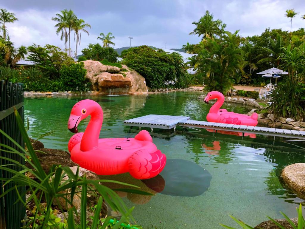 Cairns Colonial Club Resort - Resim 38