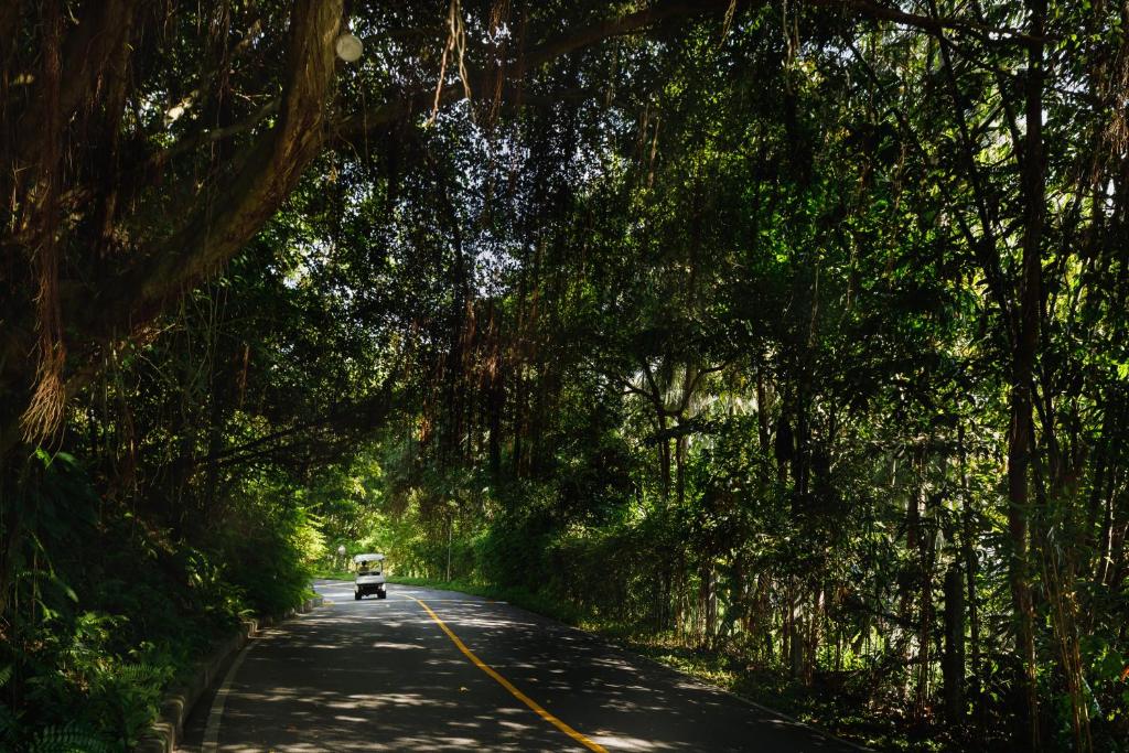 a car driving down a road lined with trees at The Surin Phuket in Surin Beach