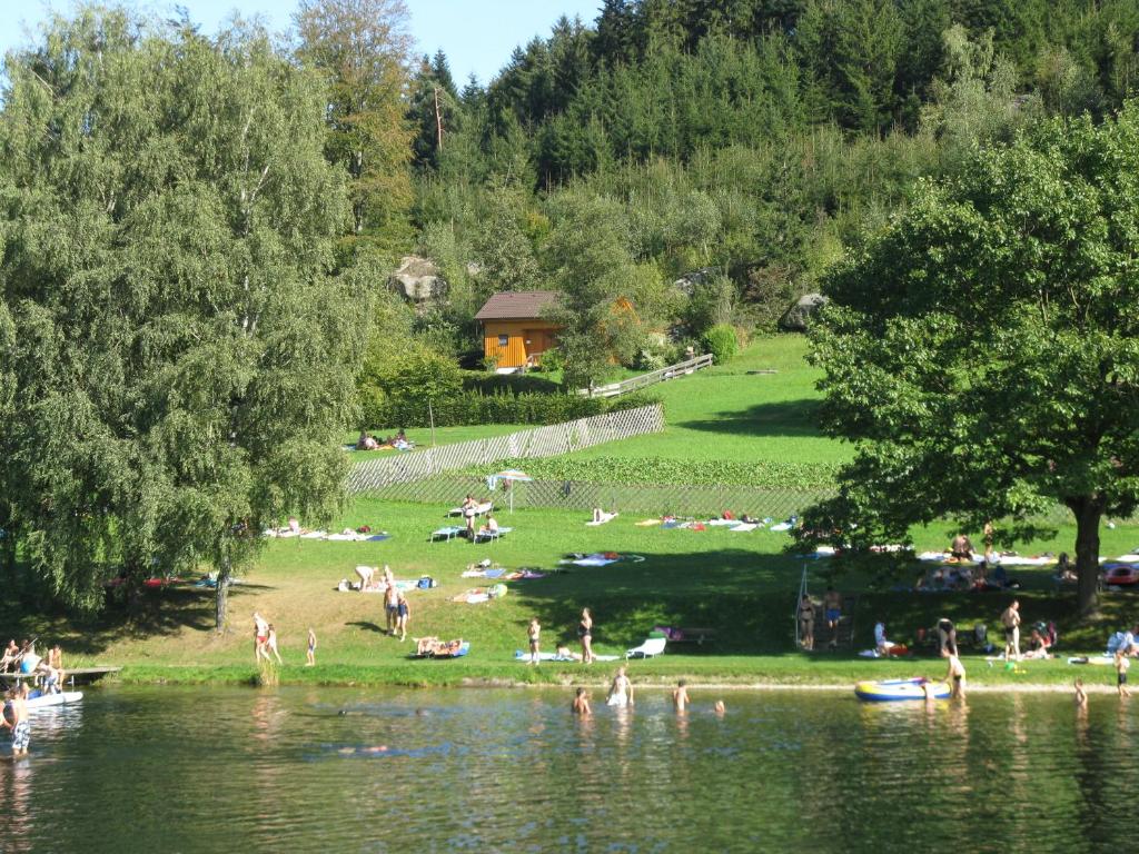 Příroda nedaleko apartmánu