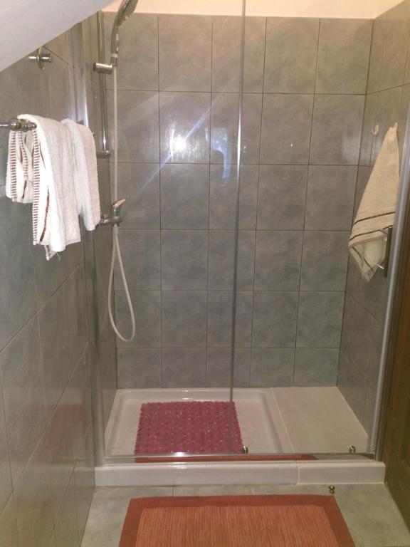 Jankomir的住宿－Kuća Dina - app，带淋浴的浴室和玻璃门