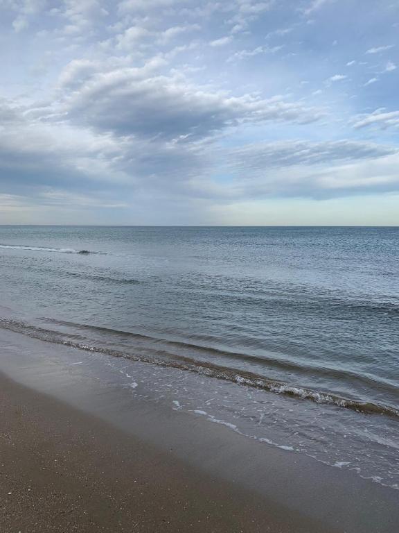 City Valencia Beach 360, Valence – Tarifs 2023