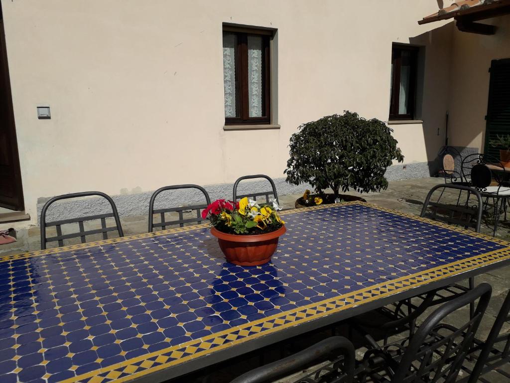a table with a pot of flowers on top of it at Bed&Breakfast Pianeta Benessere in Pistoia