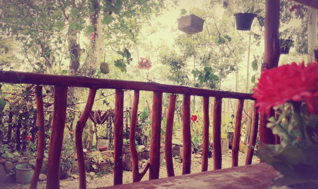 Zahrada ubytování Deneth Homestay
