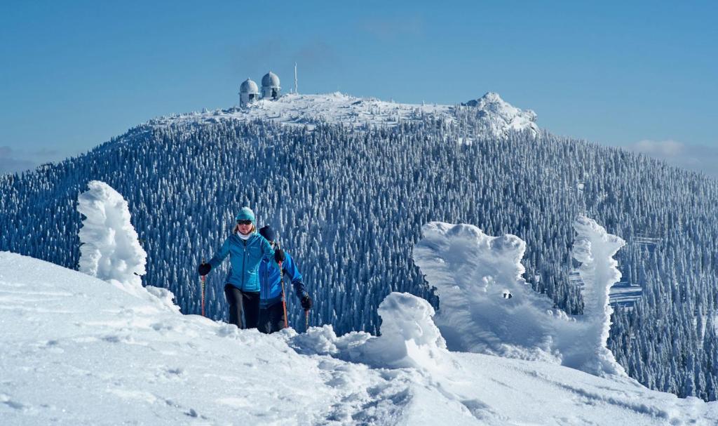 Natura Hotel Bodenmais - inkl Soft- und Heißgetränkeflat - 19