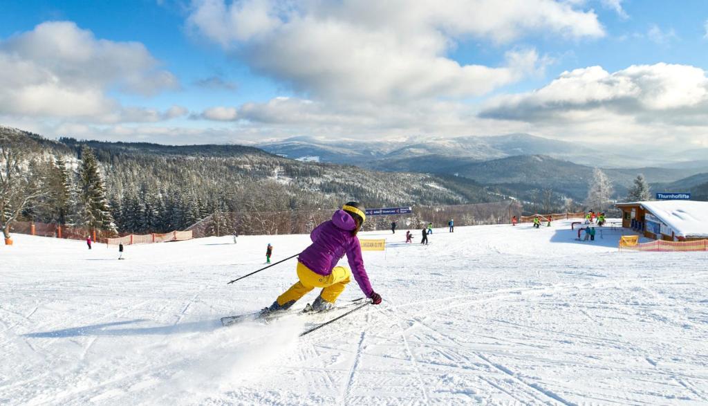 Natura Hotel Bodenmais - inkl Soft- und Heißgetränkeflat - 14